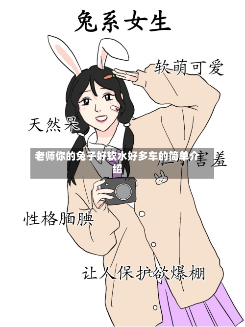 老师你的兔子好软水好多车的简单介绍-第2张图片