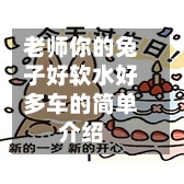 老师你的兔子好软水好多车的简单介绍