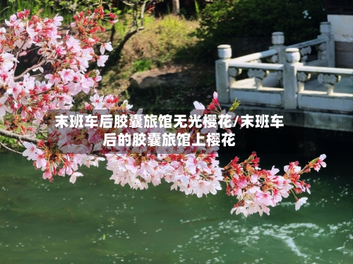 末班车后胶囊旅馆无光樱花/末班车后的胶囊旅馆上樱花
