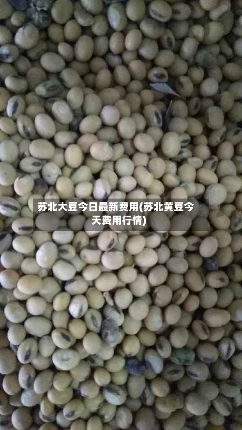 苏北大豆今日最新费用(苏北黄豆今天费用行情)