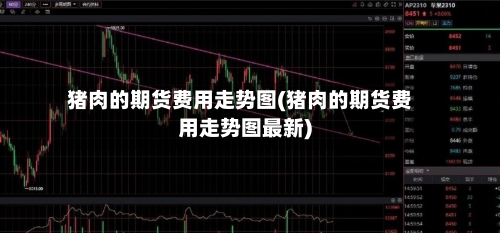 猪肉的期货费用走势图(猪肉的期货费用走势图最新)