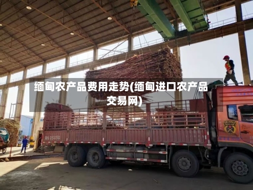 缅甸农产品费用走势(缅甸进口农产品交易网)-第2张图片
