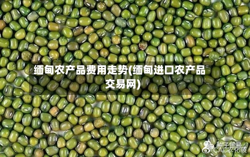 缅甸农产品费用走势(缅甸进口农产品交易网)