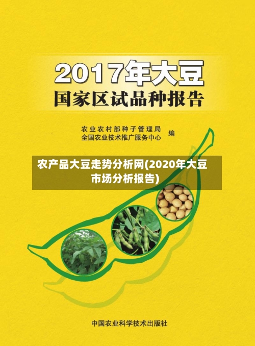 农产品大豆走势分析网(2020年大豆市场分析报告)-第2张图片