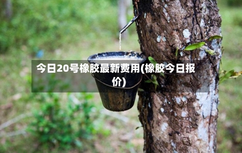 今日20号橡胶最新费用(橡胶今日报价)