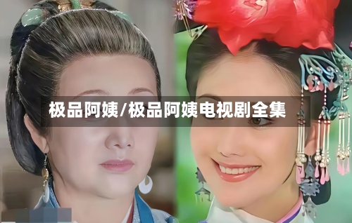 极品阿姨/极品阿姨电视剧全集