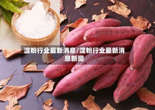 淀粉行业最新消息/淀粉行业最新消息新闻