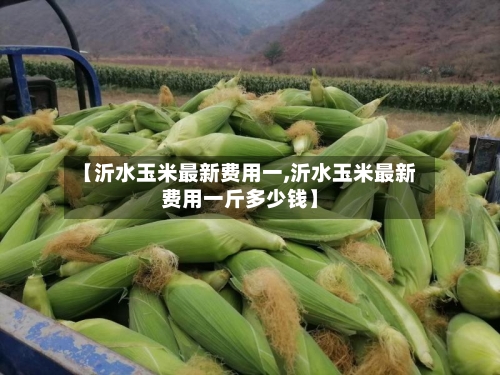【沂水玉米最新费用一,沂水玉米最新费用一斤多少钱】-第2张图片