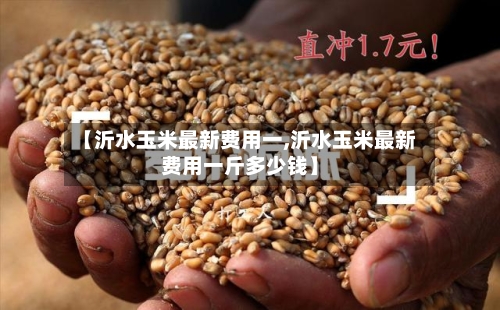 【沂水玉米最新费用一,沂水玉米最新费用一斤多少钱】