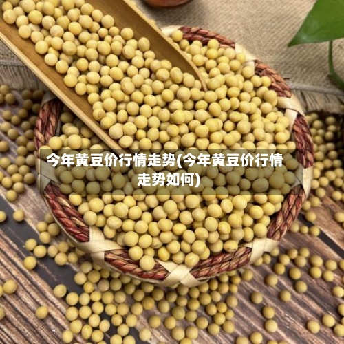 今年黄豆价行情走势(今年黄豆价行情走势如何)