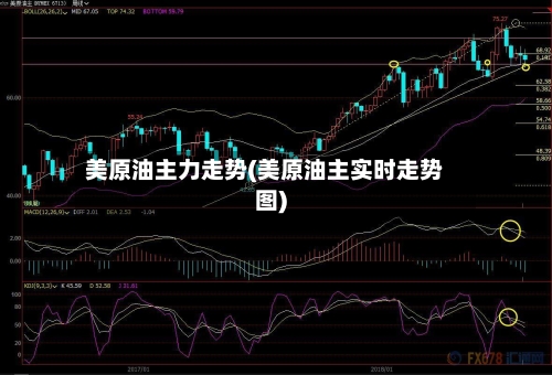美原油主力走势(美原油主实时走势图)-第2张图片