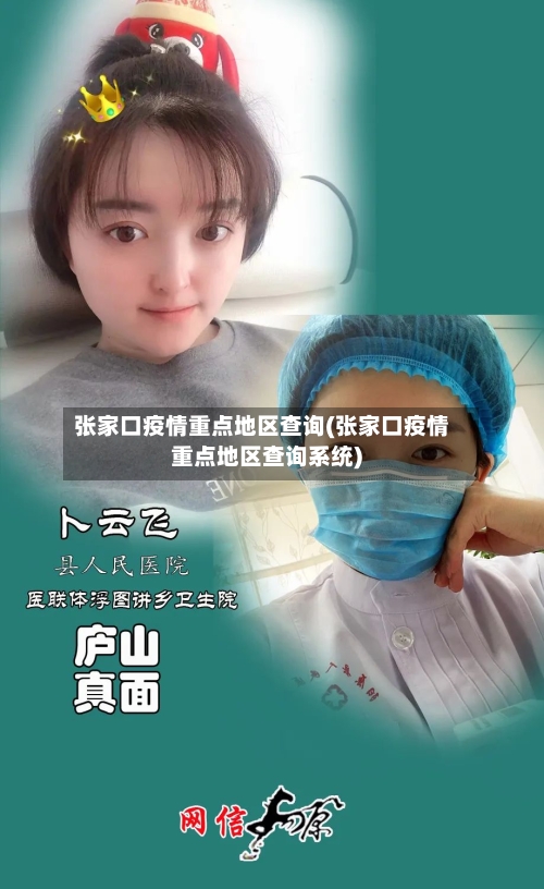张家口疫情重点地区查询(张家口疫情重点地区查询系统)-第2张图片
