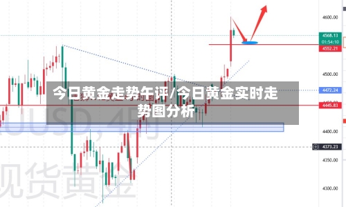 今日黄金走势午评/今日黄金实时走势图分析-第2张图片