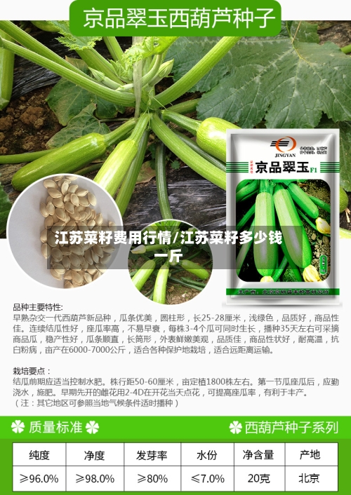江苏菜籽费用行情/江苏菜籽多少钱一斤