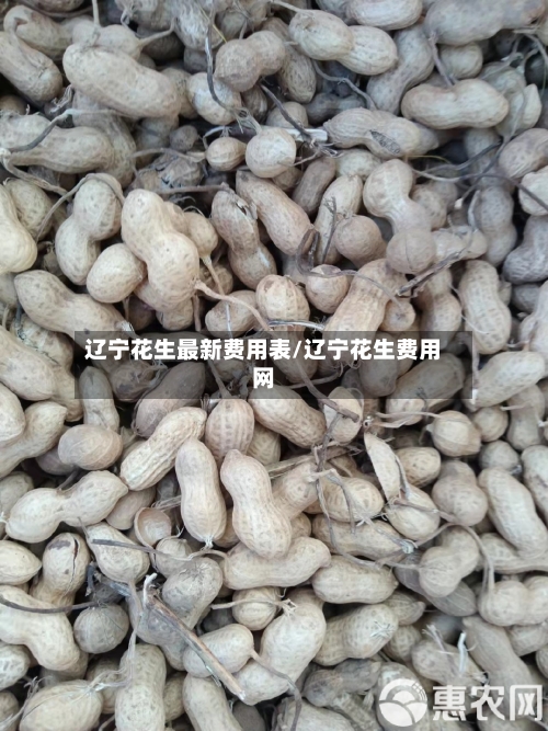 辽宁花生最新费用表/辽宁花生费用网