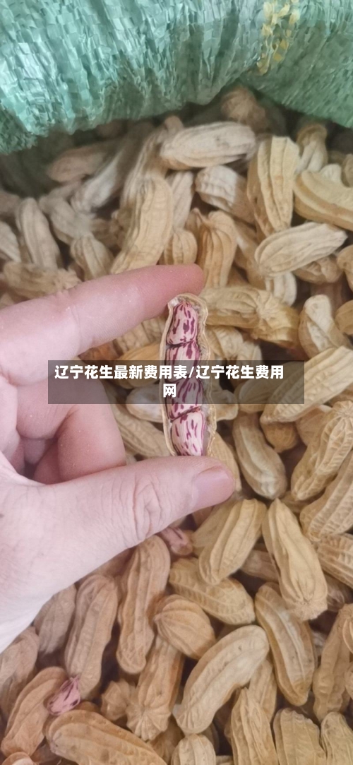 辽宁花生最新费用表/辽宁花生费用网-第2张图片