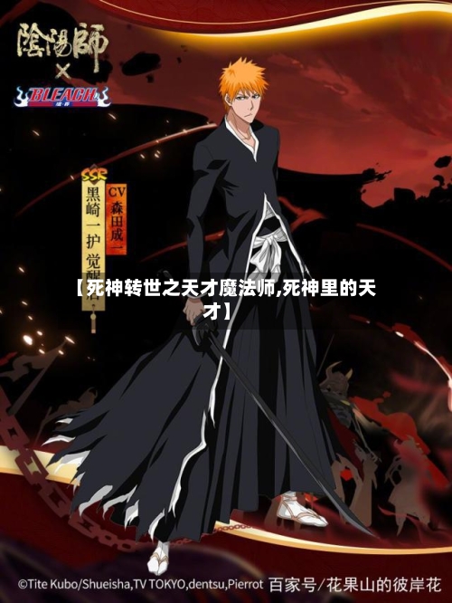 【死神转世之天才魔法师,死神里的天才】-第3张图片