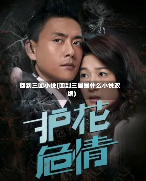 回到三国小说(回到三国是什么小说改编)