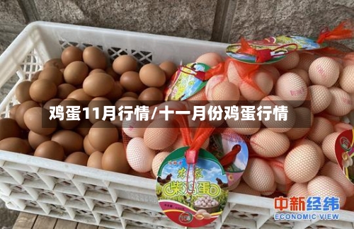 鸡蛋11月行情/十一月份鸡蛋行情