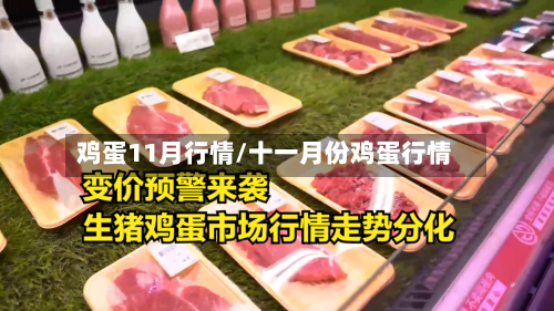 鸡蛋11月行情/十一月份鸡蛋行情-第2张图片