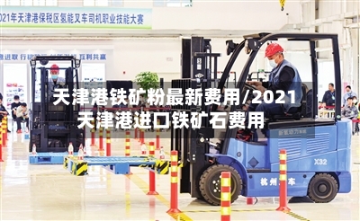 天津港铁矿粉最新费用/2021天津港进口铁矿石费用