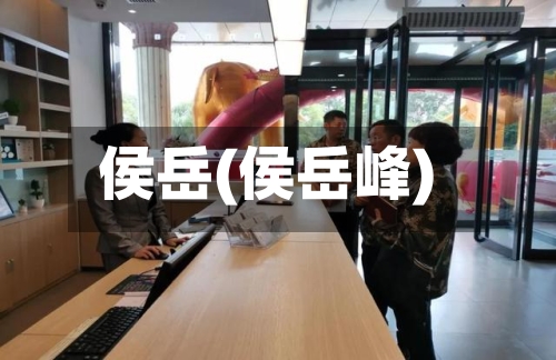 侯岳(侯岳峰)-第2张图片