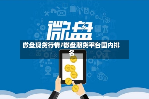 微盘现货行情/微盘期货平台国内排名