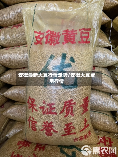安徽最新大豆行情走势/安徽大豆费用行情-第2张图片
