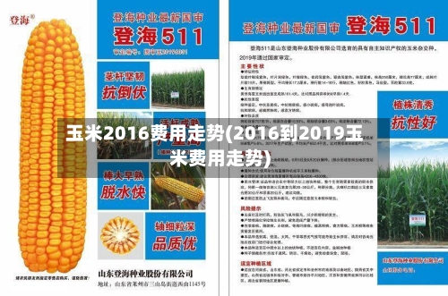 玉米2016费用走势(2016到2019玉米费用走势)-第2张图片