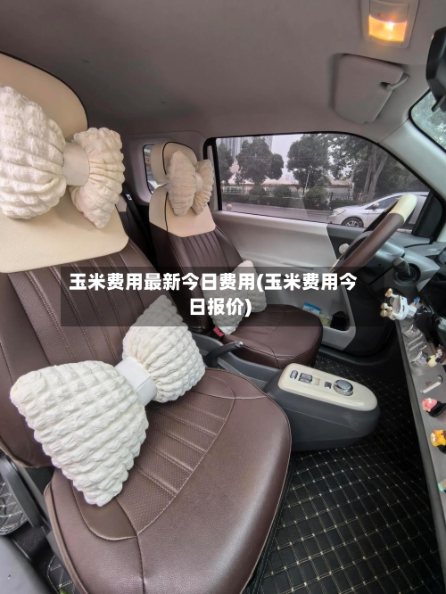 玉米费用最新今日费用(玉米费用今日报价)-第3张图片