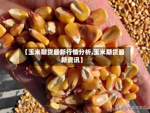 【玉米期货最新行情分析,玉米期货最新资讯】