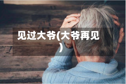 见过大爷(大爷再见)-第2张图片