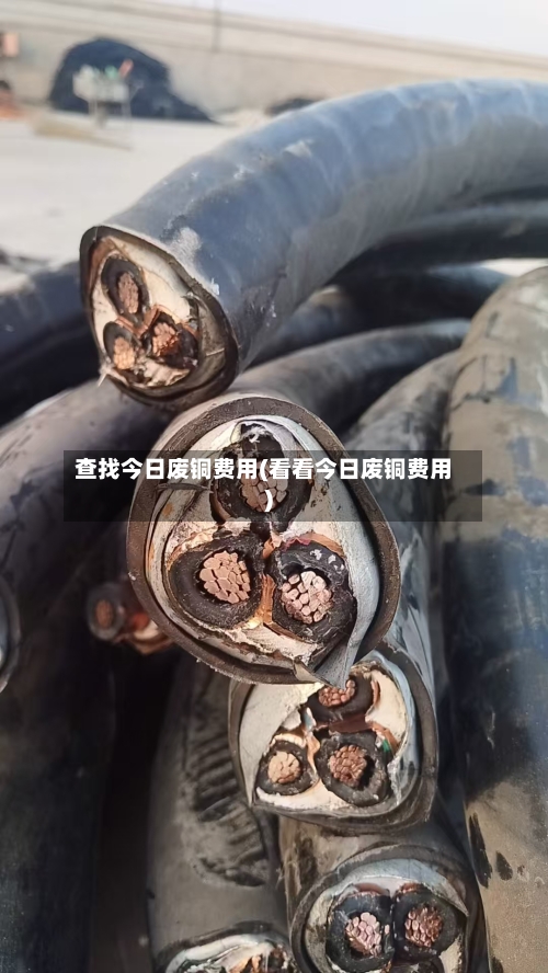 查找今日废铜费用(看看今日废铜费用)-第3张图片