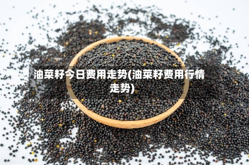 油菜籽今日费用走势(油菜籽费用行情走势)