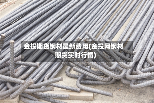 金投期货钢材最新费用(金投网钢材期货实时行情)-第2张图片