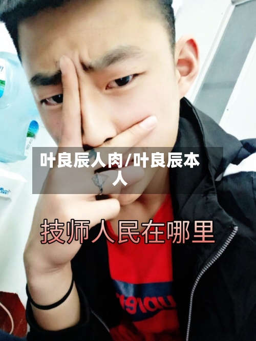 叶良辰人肉/叶良辰本人