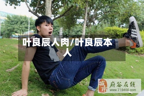 叶良辰人肉/叶良辰本人-第2张图片