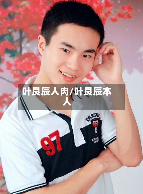 叶良辰人肉/叶良辰本人-第3张图片
