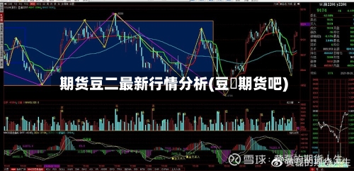 期货豆二最新行情分析(豆粨期货吧)-第3张图片