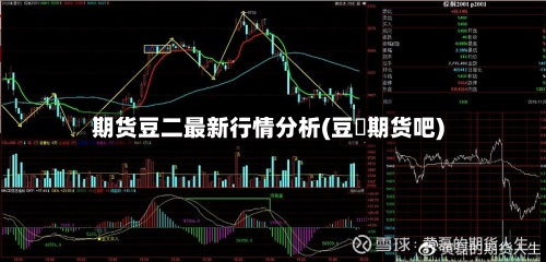 期货豆二最新行情分析(豆粨期货吧)-第2张图片