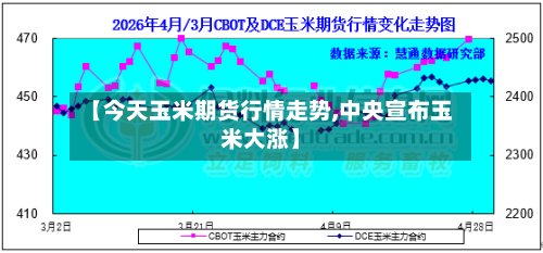 【今天玉米期货行情走势,中央宣布玉米大涨】-第2张图片