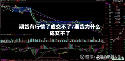 期货有行情了成交不了/期货为什么成交不了