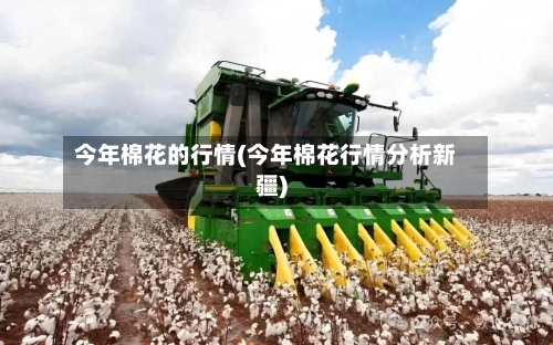 今年棉花的行情(今年棉花行情分析新疆)-第2张图片