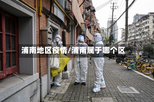 浦南地区疫情/浦南属于哪个区