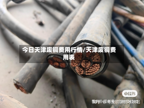 今日天津废铜费用行情/天津废铜费用表