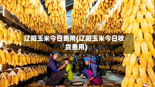 辽阳玉米今日费用(辽阳玉米今日收货费用)-第2张图片