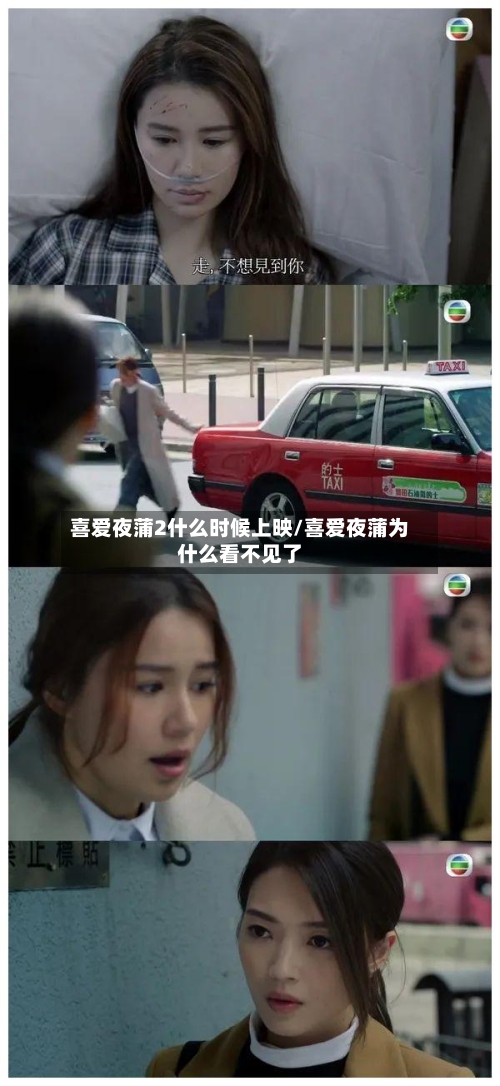 喜爱夜蒲2什么时候上映/喜爱夜蒲为什么看不见了