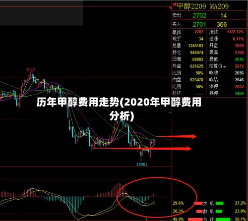 历年甲醇费用走势(2020年甲醇费用分析)-第2张图片