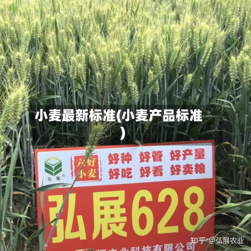 小麦最新标准(小麦产品标准)-第2张图片