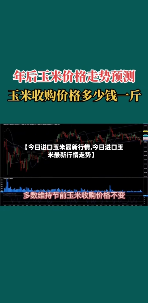 【今日进口玉米最新行情,今日进口玉米最新行情走势】-第2张图片